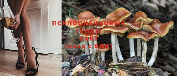 apvp Абаза