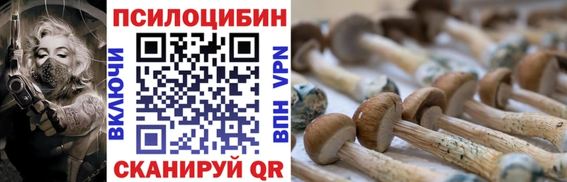 Псилоцибиновые грибы Psilocybe  Богородицк 