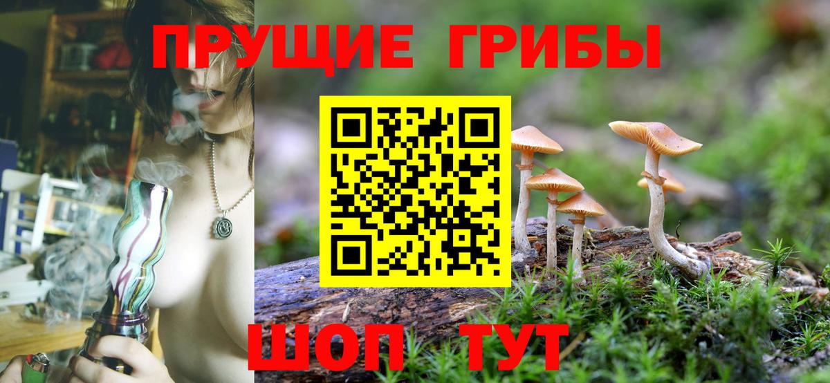Псилоцибиновые грибы мухоморы Богородицк
