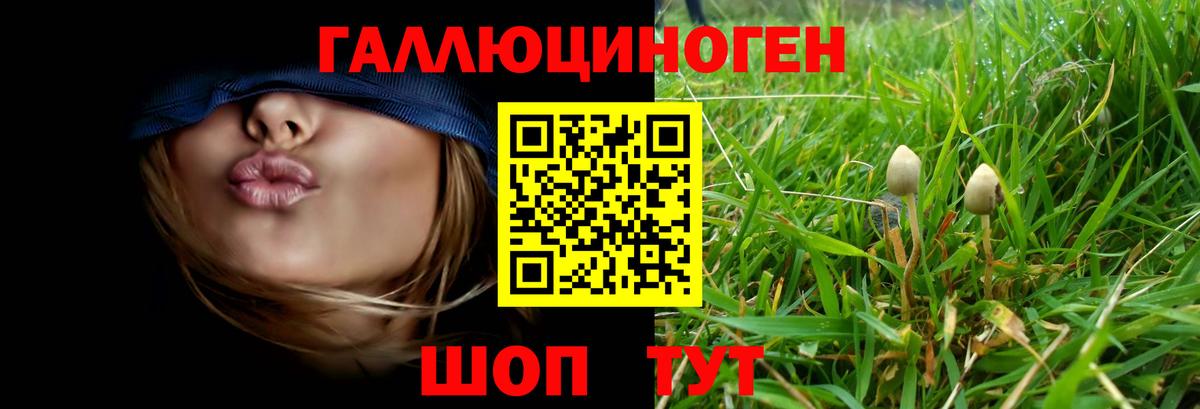 Псилоцибиновые грибы мицелий  Галлюциногенные грибы мицелий  Богородицк  Вход с VPN 